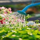 Initiation jardinage au naturel